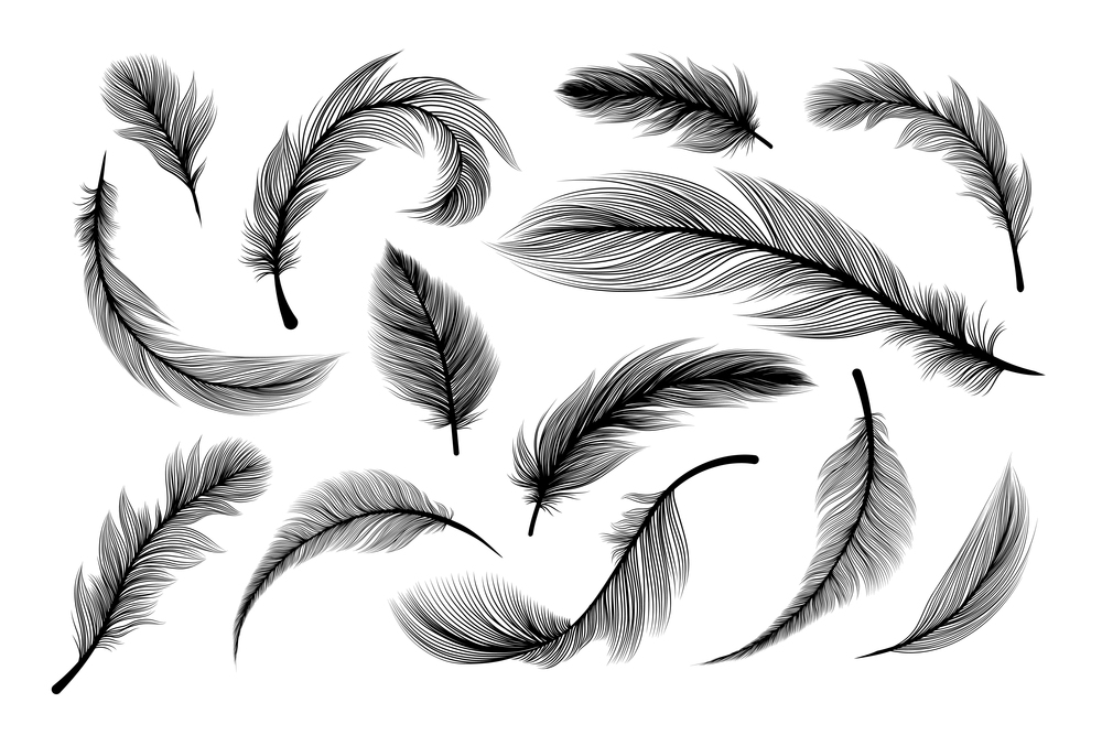 Feathers, vector black silhouettes with fluffy plumage texture. Feather quills flying and falling, abstract bird plume black on white background, isolated design elements with laser cut effect. Fluffy feathers, flying plume quills silhouettes