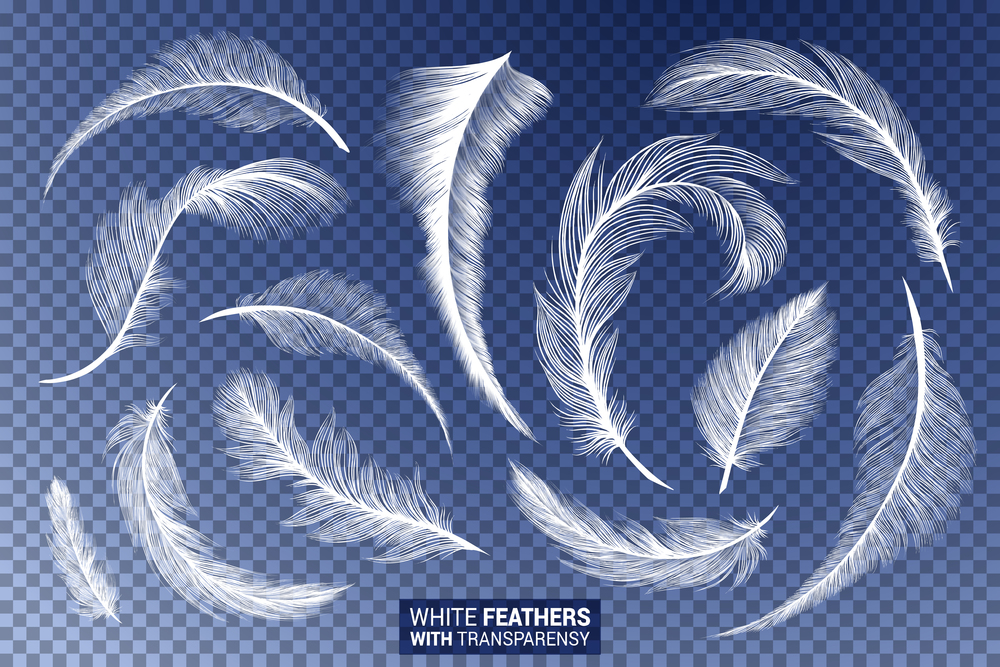 Feathers, white fluffy isolated falling plumes with transparent effect on blue background. Realistic 3D goose bird feather quills with fluff plumage texture, flying and falling abstract shapes design. White fluffy feathers realistic transparent effect