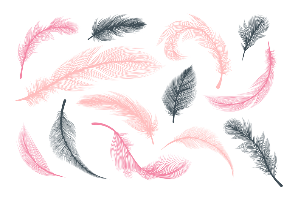 Feathers, vector pink and black fluffy quill plumes isolated on white background. Abstract feathers with realistic plumage texture pattern, wedding and birthday design elements, softness concept. Fluffy feathers, abstract pink and black plumes