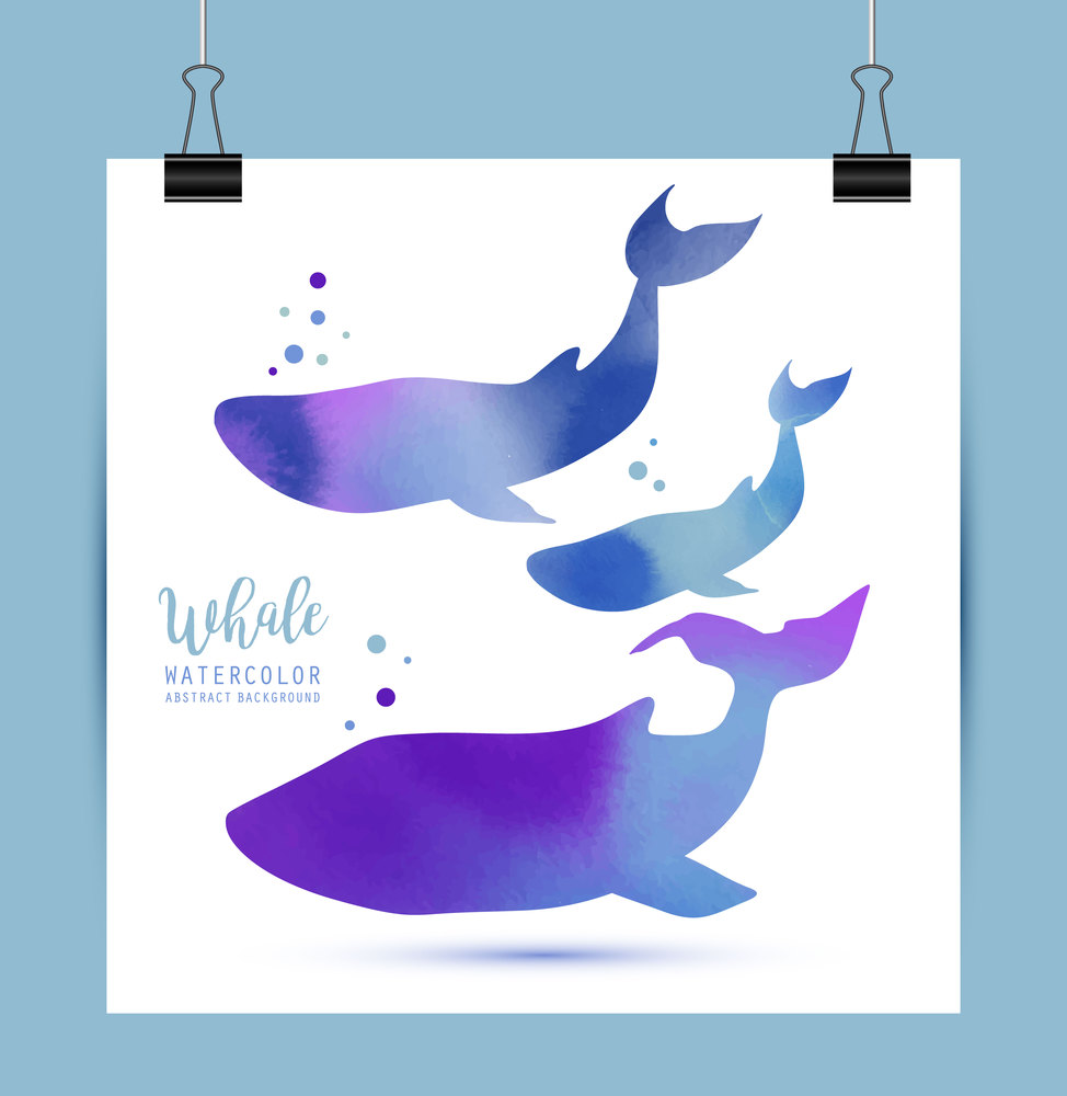 Watercolor Illustration Whales Family. Vector isolated. Watercolor Illustration Whales Family. Vector, isolated on white.