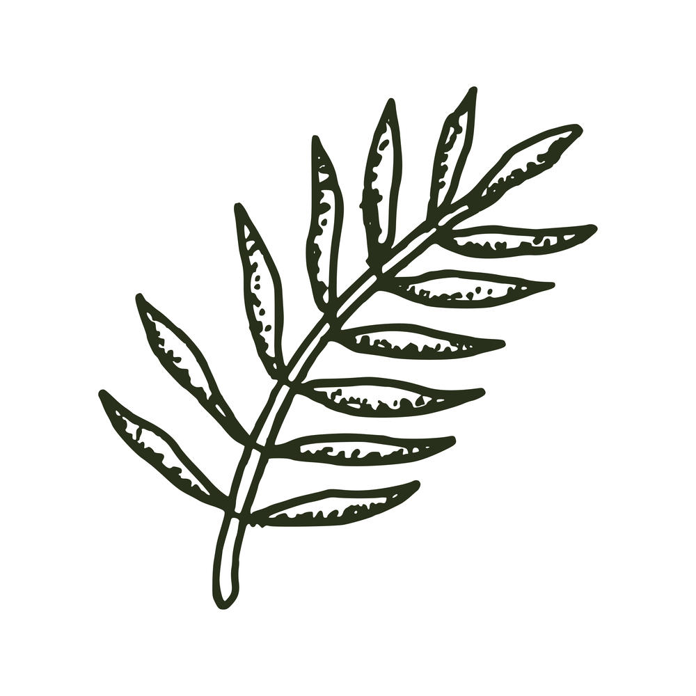 natural tropical leaves vector logo template illustration EPS 10