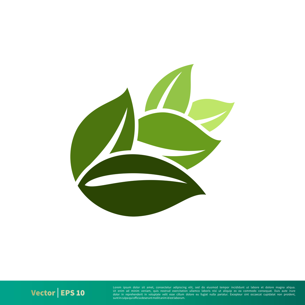 Nature Green Leaf Icon Vector Logo Template Illustration Design EPS 10.