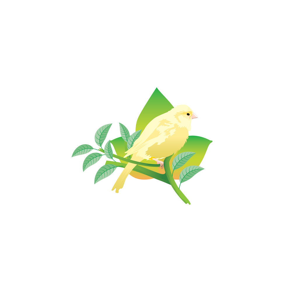 Sparrow on twig vector illustration.