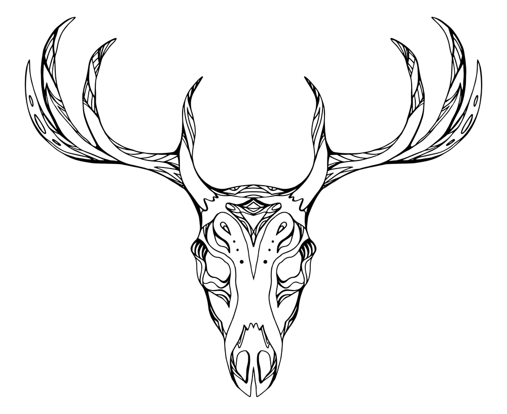 Contour illustration of a deer skull with antlers with boho pattern. Vector doodle element for printing on T-shirts, tattoo sketch, postcards and your creativity. Contour illustration of a deer skull with antlers with boho patt