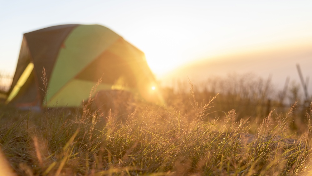 Tent for backpacker outdoor life with Summer nature landscape outdoor on sunset with bright sunlight  focus on golden meadow. Travel journey concept.