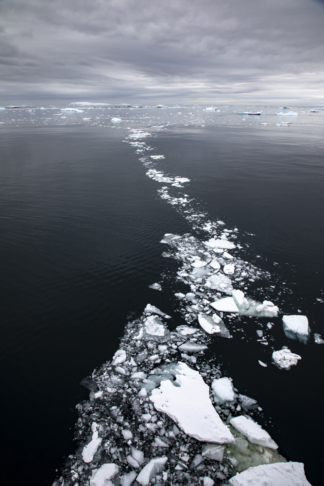 Drift ice plates form white trail on dark waters of ocean in Antarctica