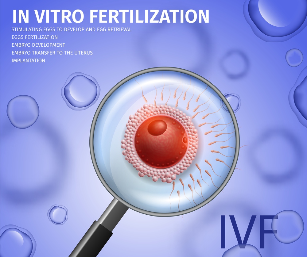 View Through Magnifier on Egg Attacked with Sperm. In Vitro Fertilization Stages. Stimulating Eggs, Embryo Development, Transfer to Uretrus, Implantation. IVF. Vector Realistic Illustration. Banner