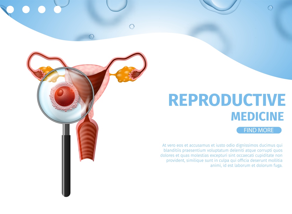 Reproductive Medicine. Magnifier Glass. Female Uterus. Extreme Close Up of Microscopic Sperm Swim to Female Egg to Fertilize for Pregnancy. Vector Realistic Illustration. Medical Banner. Copy Space. Sperm Swim to Female Egg. Female Uterus Banner