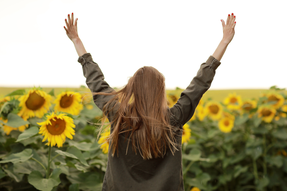 young beautiful woman on blooming sunflower field in summer. copy space. backdrop.. young beautiful woman on blooming sunflower field in summer. copy space. backdrop
