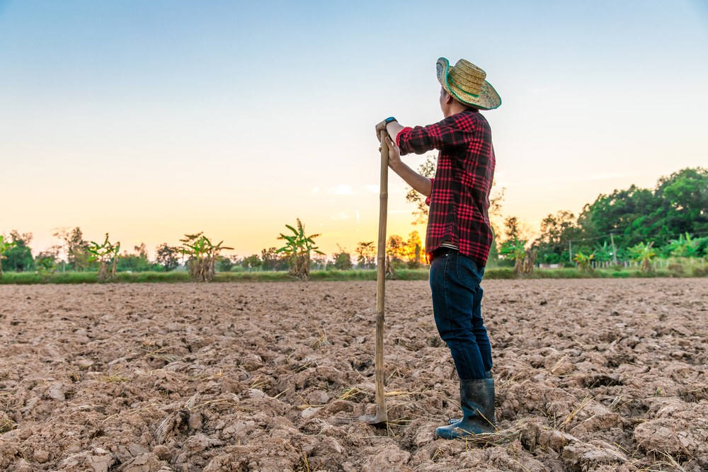 Farmer working on field at sunset outdoor