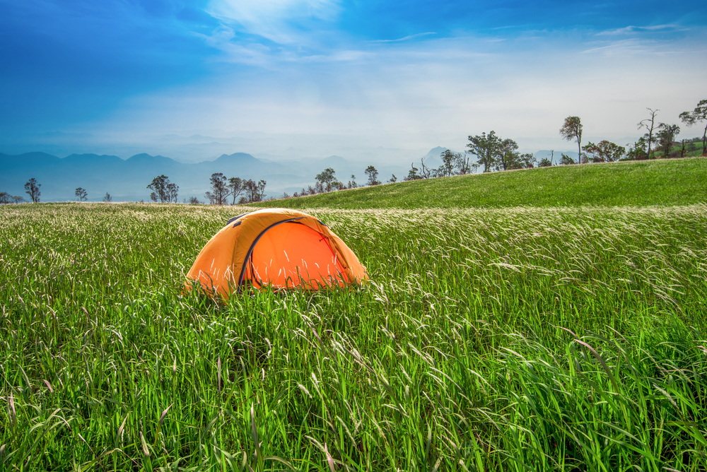 Tent area on hill bright day blue sky / Landscape camping tents yellow on field in the forest in the morning beautiful natural green grass meadow