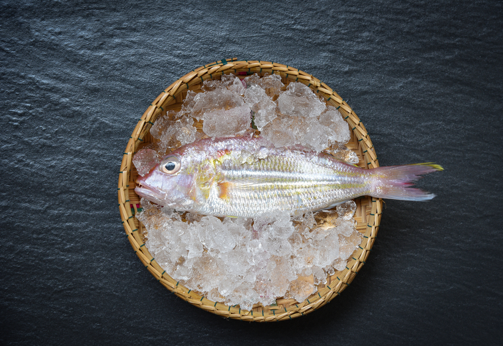 Seafood fish plate ocean gourmet fresh raw fish on ice basket on the stone dark background