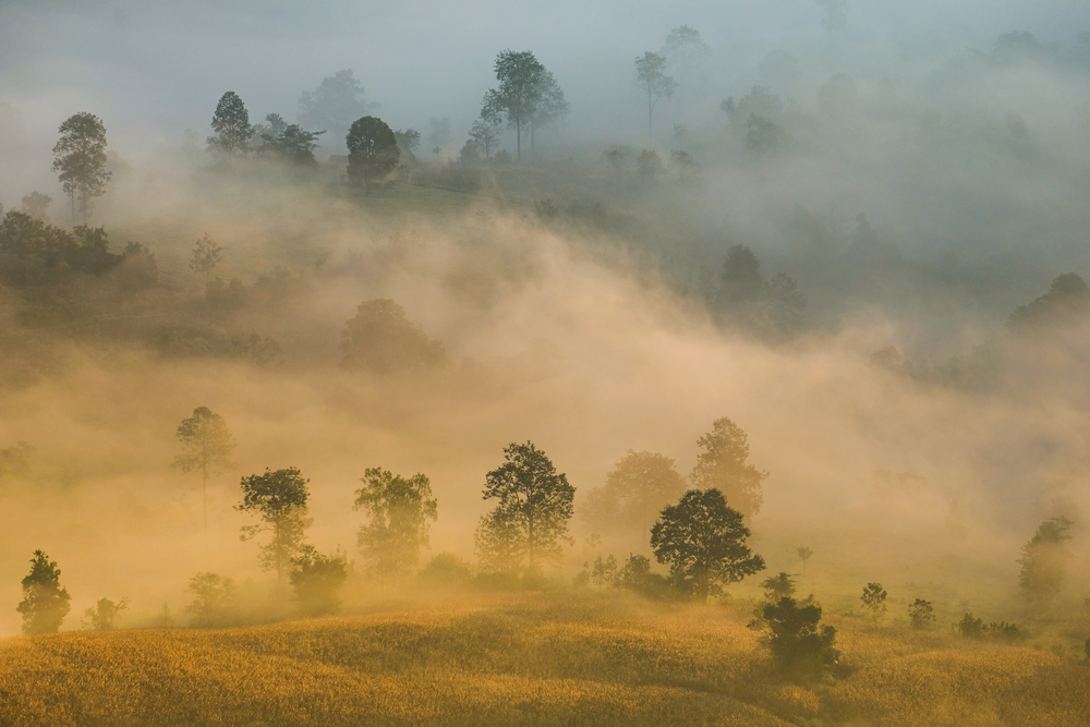 Beautiful foggy sunrise mist covered mountain forest landscape top view / Mountain ranges with tree at countryside