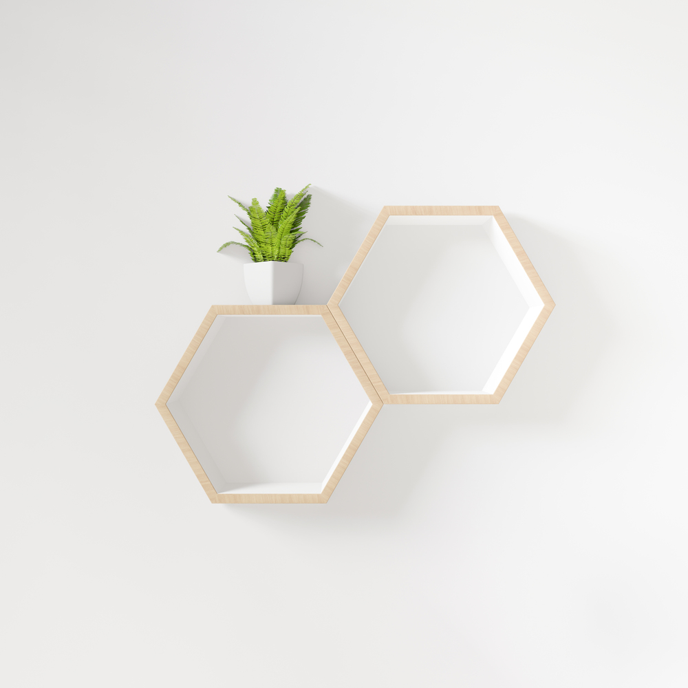 Hexagon shelf with little tree copy space,copy space,mock up,hexegon