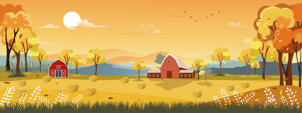 Vector Autumn panorama landscape farm field with orange sky, Beautiful sunset in Autumn countryside panorama view with yellow foliage,Fall season with copy space for banner background
