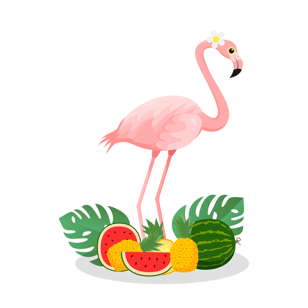 Summer Time Flamingo with tropical leaf and fruit isolated on white background , vector illustration