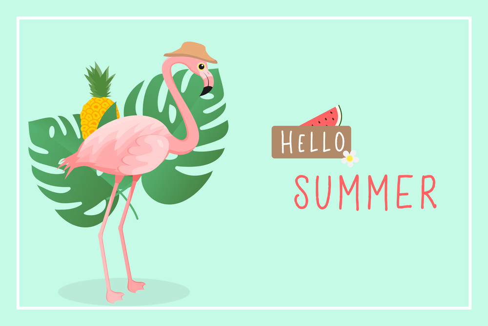 Summer Time Flamingo with tropical leaf and fruit banner , vector illustration