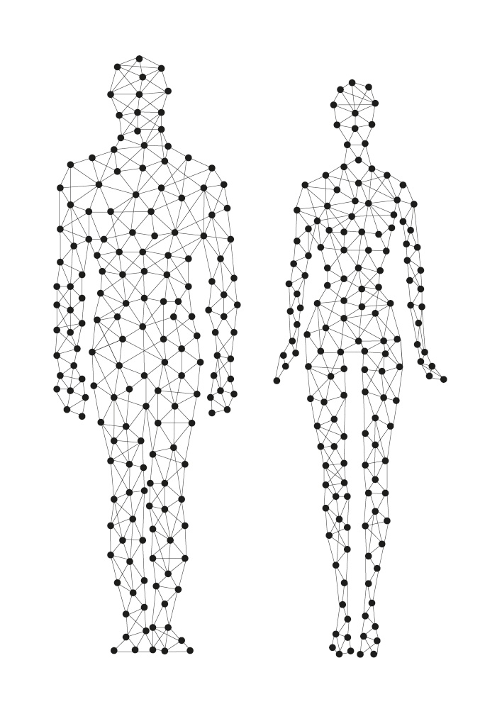 human line in vector