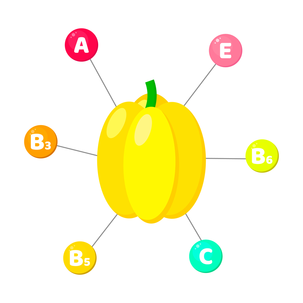 Vector illustration. Infographics. vitamins contained in vegetables. trace elements in colored circles. Yellow paprika