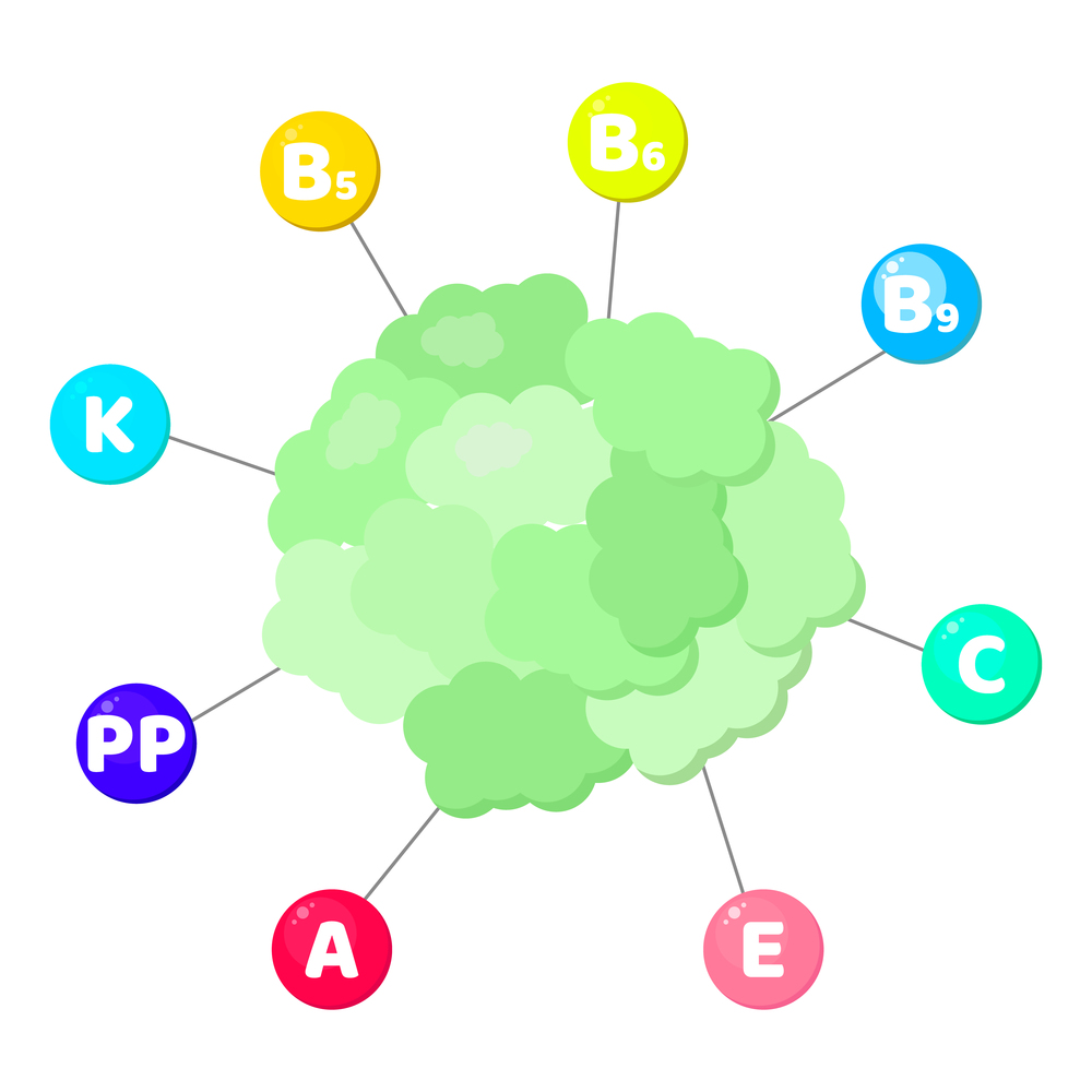 Vector illustration. Infographics. vitamins contained in vegetables. trace elements in colored circles. cauliflower