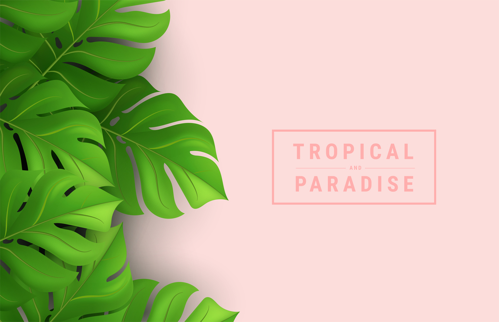 Summer tropical vector design for banner or flyer with dark green palm leaves and lettering on pink background