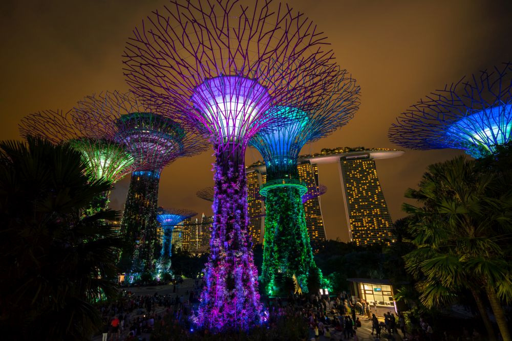 Singapore City, SINGAPORE - FEBRUARY 10, 2017 : Singapore Night Skyline at Gardens by the Bay. SuperTree Grove under Blue Night Sky in Singapore.