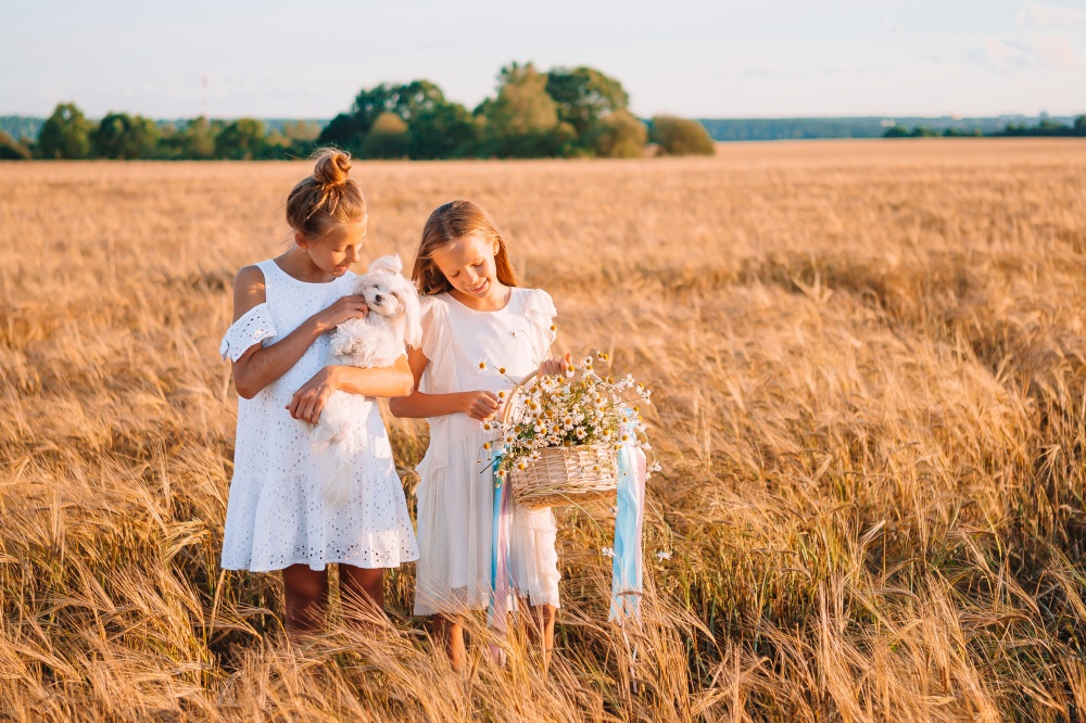 Two adorable little sisters with dog walking happily in wheat field on warm and sunny summer day. Happy girls in wheat field. Beautiful girls in white dresses outdoors