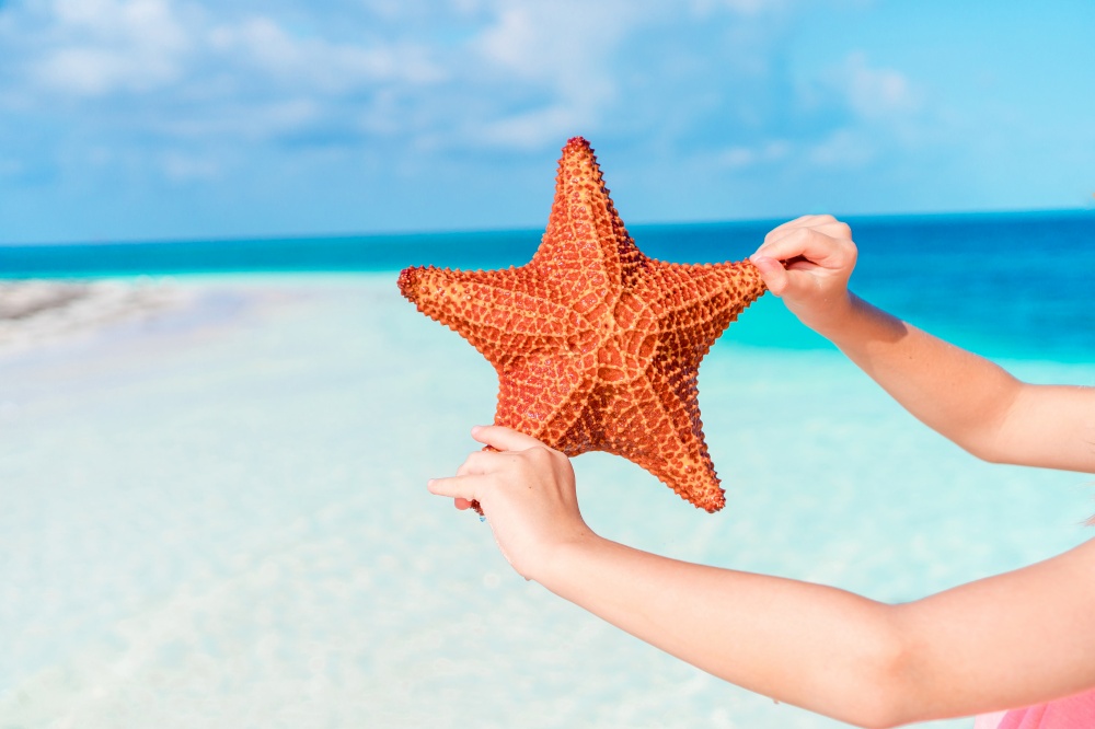 Tropical white sand with red starfish in hands background the sea. Tropical beach with a beautiful red starfish