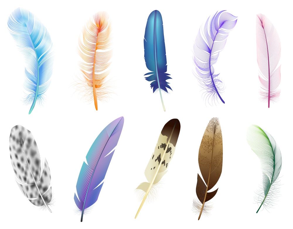 Realistic 3d feathers. Birds colored falling fluffy feathers, floating bird soft plumage feathers isolated vector icons set. Fluffy and plumage, feather falling illustration. Realistic 3d feathers. Birds colored falling fluffy feathers, floating bird soft plumage feathers isolated vector icons set