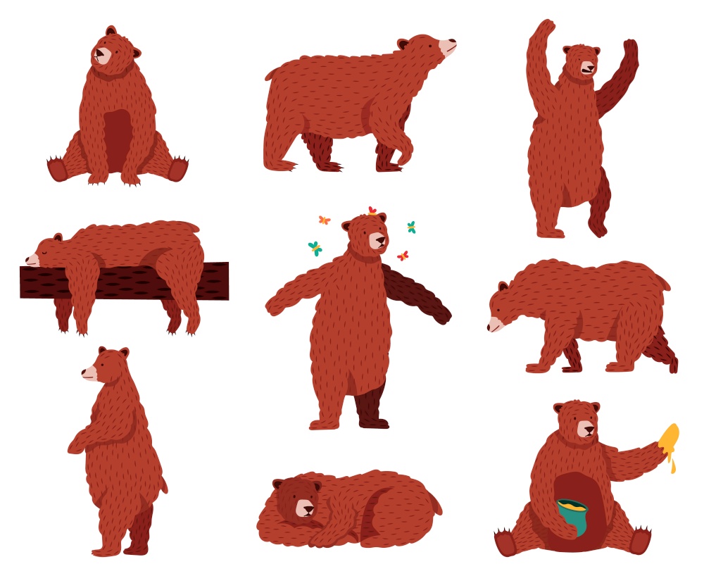 Brown grizzly bear. Cartoon wild cute bears, forest fur animal, sitting, playing and sleeping wildlife mammal, funny bear vector illustration set. Bear animal, wild forest cartoon, grizzly brown. Brown grizzly bear. Cartoon wild cute bears, forest fur animal, sitting, playing and sleeping wildlife mammal, funny bear vector illustration set