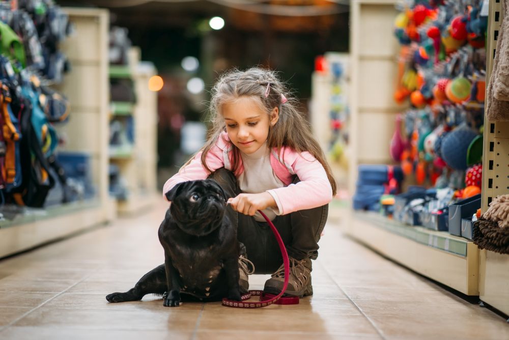 Little girl chooses house for puppy in pet shop. Kid plays in petshop, goods for domestic animals. Little girl chooses house for puppy in pet shop