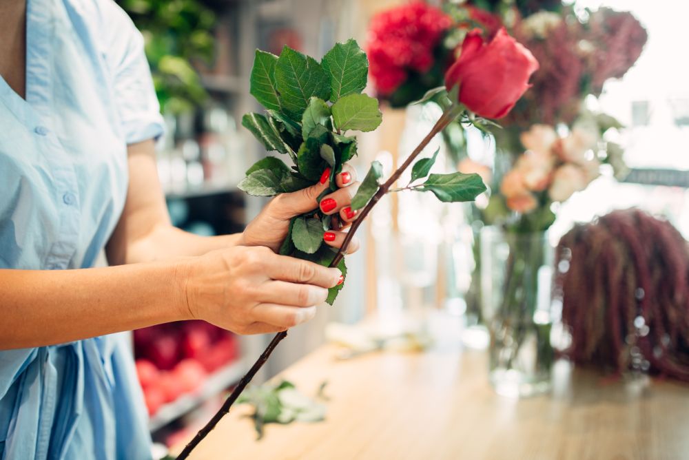Female florist holds fresh red roses flower shop. Floristry business, bouquet making. Female florist holds fresh red roses flower shop