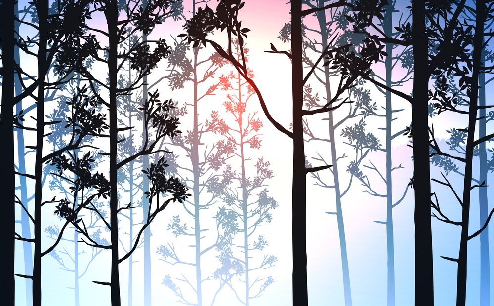 Natural forest mountains horizon hills silhouettes of trees. Evening Sunrise and sunset. Landscape wallpaper. Illustration vector style. Colorful view background