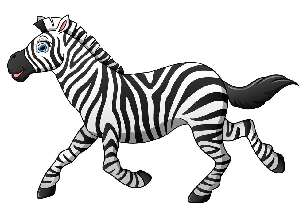 Happy zebra cartoon running illustration