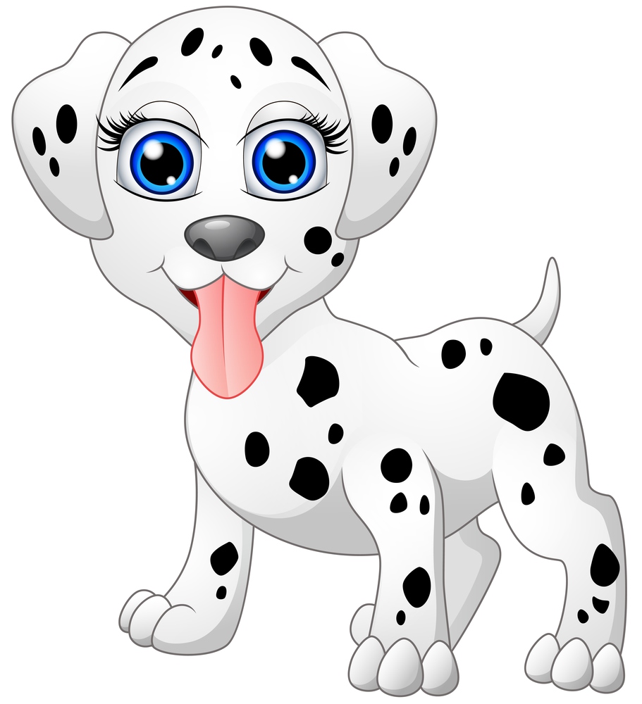 Happy dalmatian cartoon isolated on white background