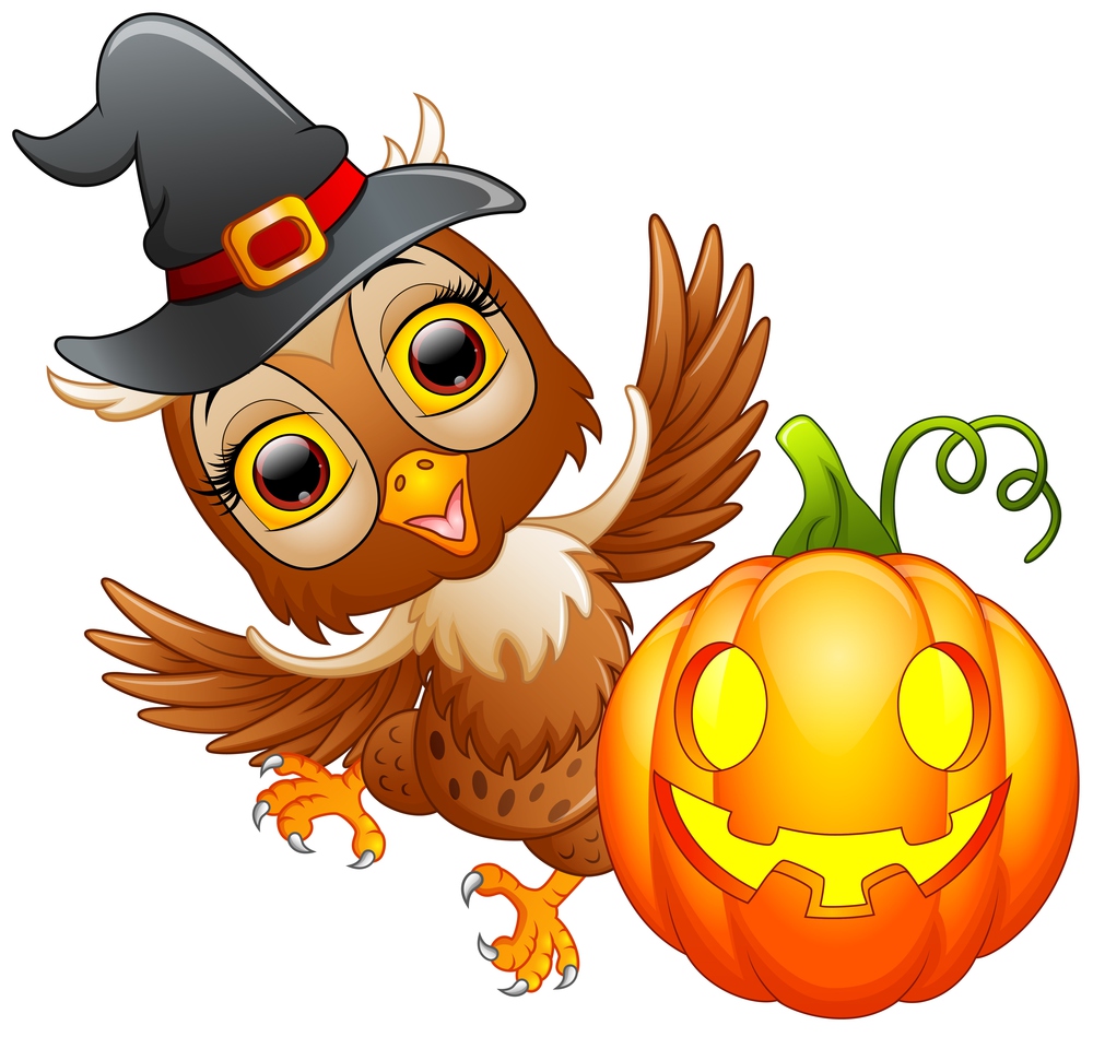 Owl cartoon with Halloween hat and pumpkin