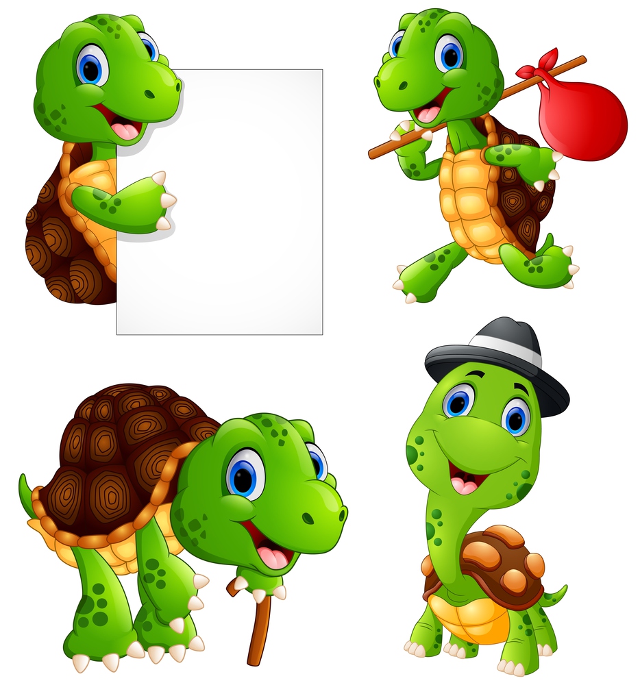 Vector illustration of  Set of funny turtle on a white background