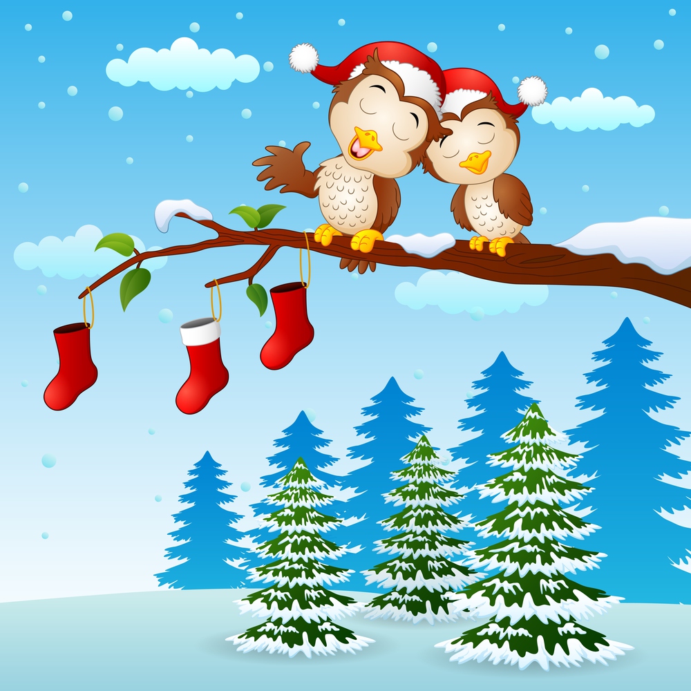 Christmas couple owls on the tree branch with socks in winter