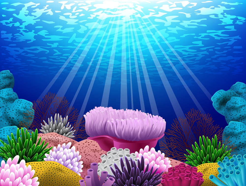 Illustration of coral and shells on the seabed
