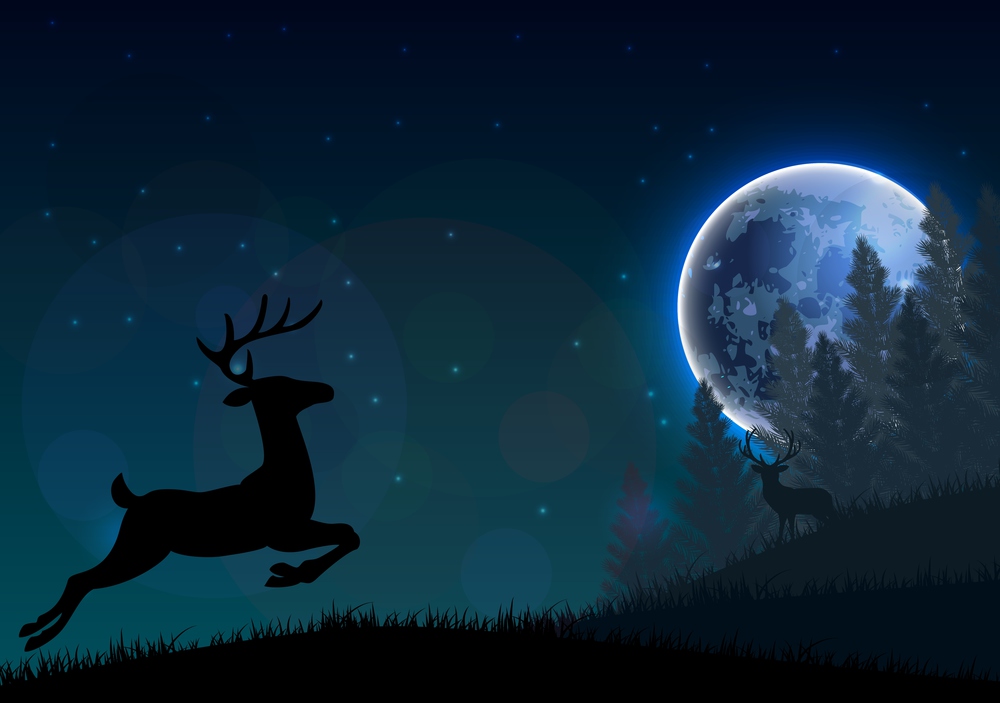 Silhouette of a deer standing on a hill at night. Vector