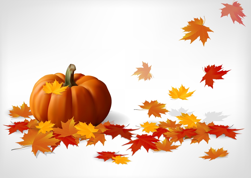 Autumn and pumpkins white background. Vector