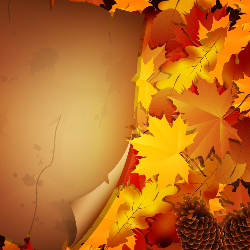 Background autumn orange leaves with paper rolls