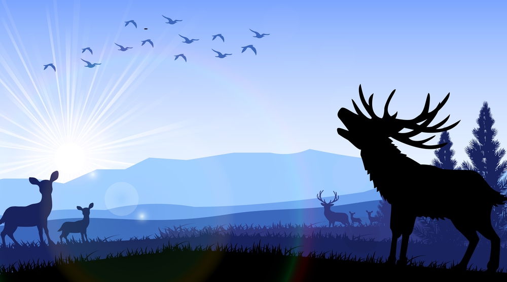 Silhouette of  deer and kangaroo standing on the time of morning