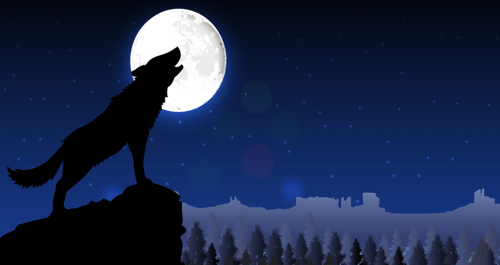 Silhouette of a wolf standing on a hill at night