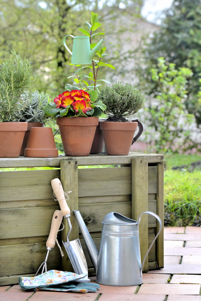 gardening tools and potted flowers and aromatic plants on a wooden crate in garden