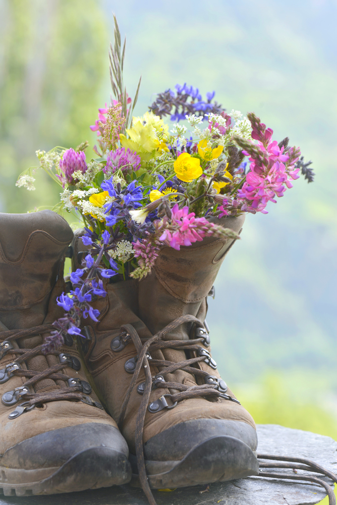 bouquet of pretty and colorful flowers put on hiking boots