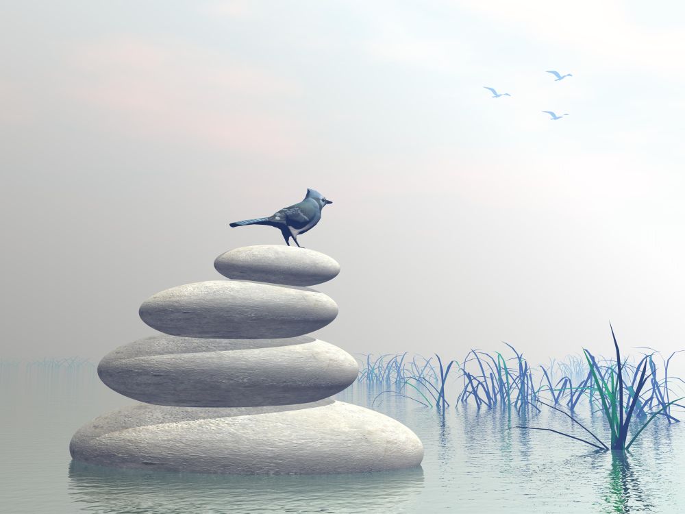 Beautiful blue bird upon stones in water next to grass by clear morning light. Bird peace - 3D render