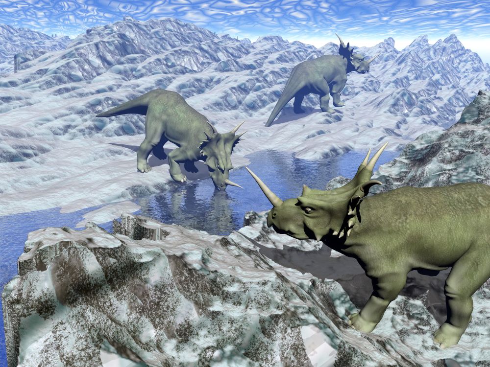 Three styracosaurus dinosaurs in icy desert landscape with water by blue day. Styracosaurus near water- 3D render