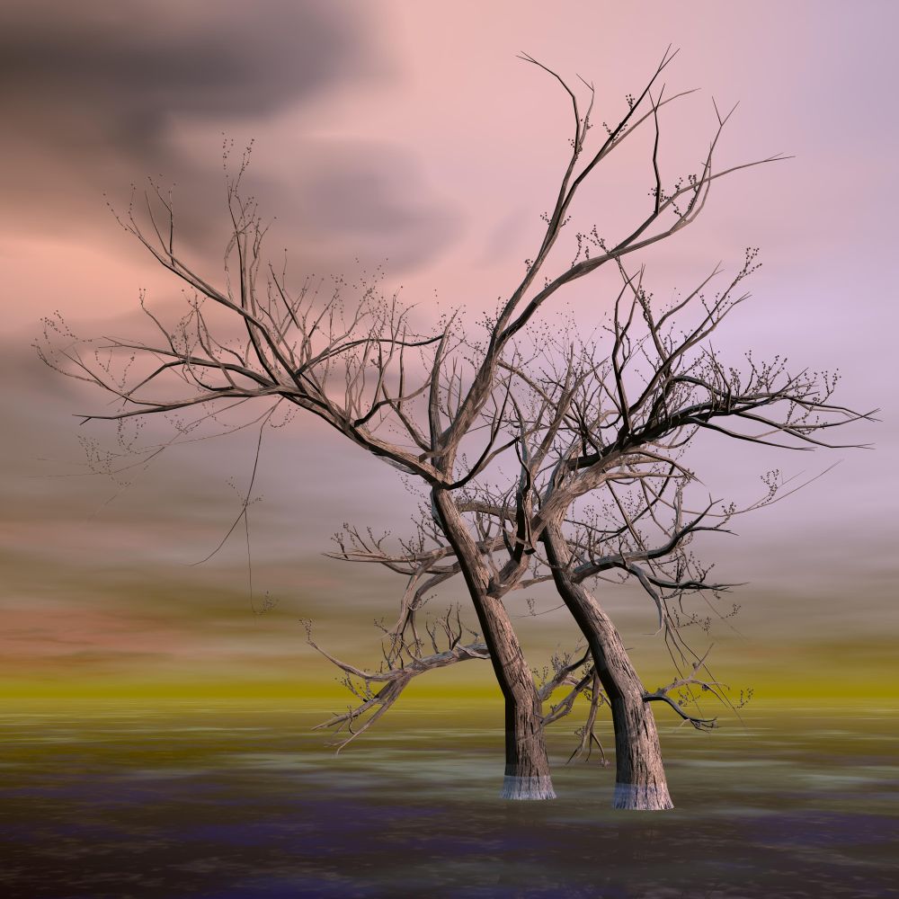 Beautiful autumn fantasy trees in desert landscape by colorful sunset. Fantasy trees - 3D render