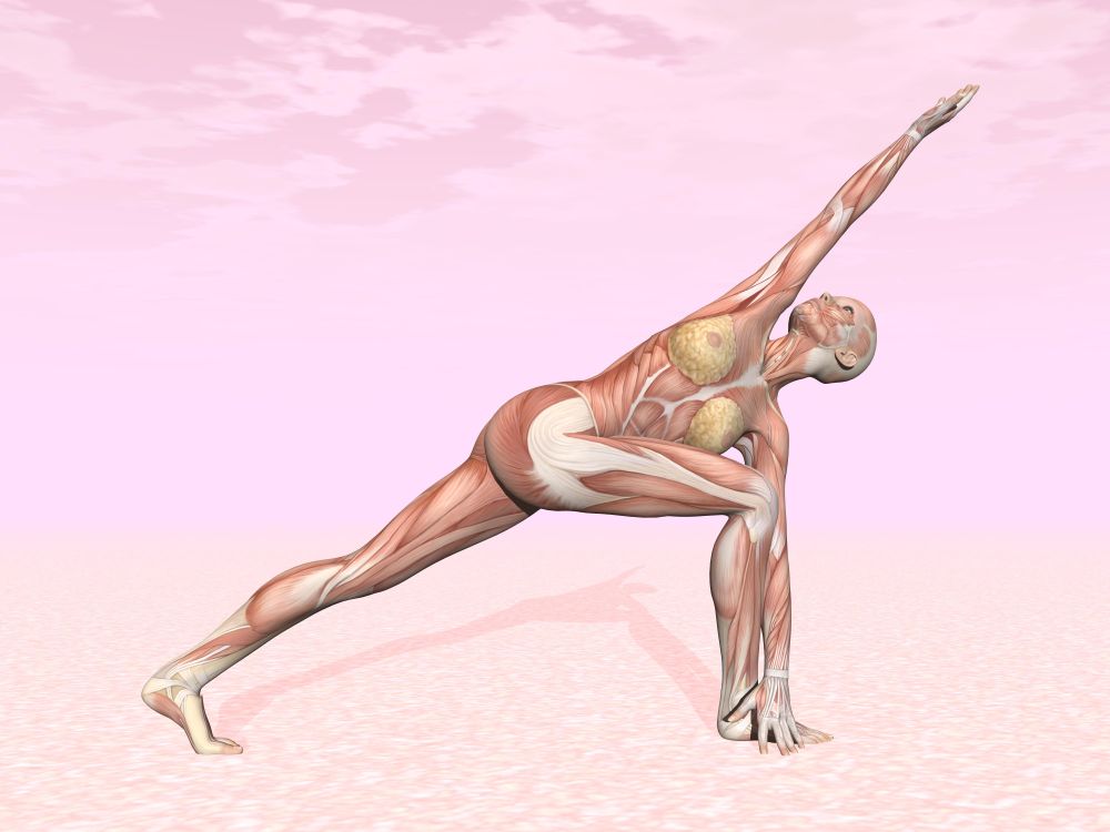 Revolved side angle yoga pose for woman with muscle visible in pink background. Revolved side angle yoga pose for woman